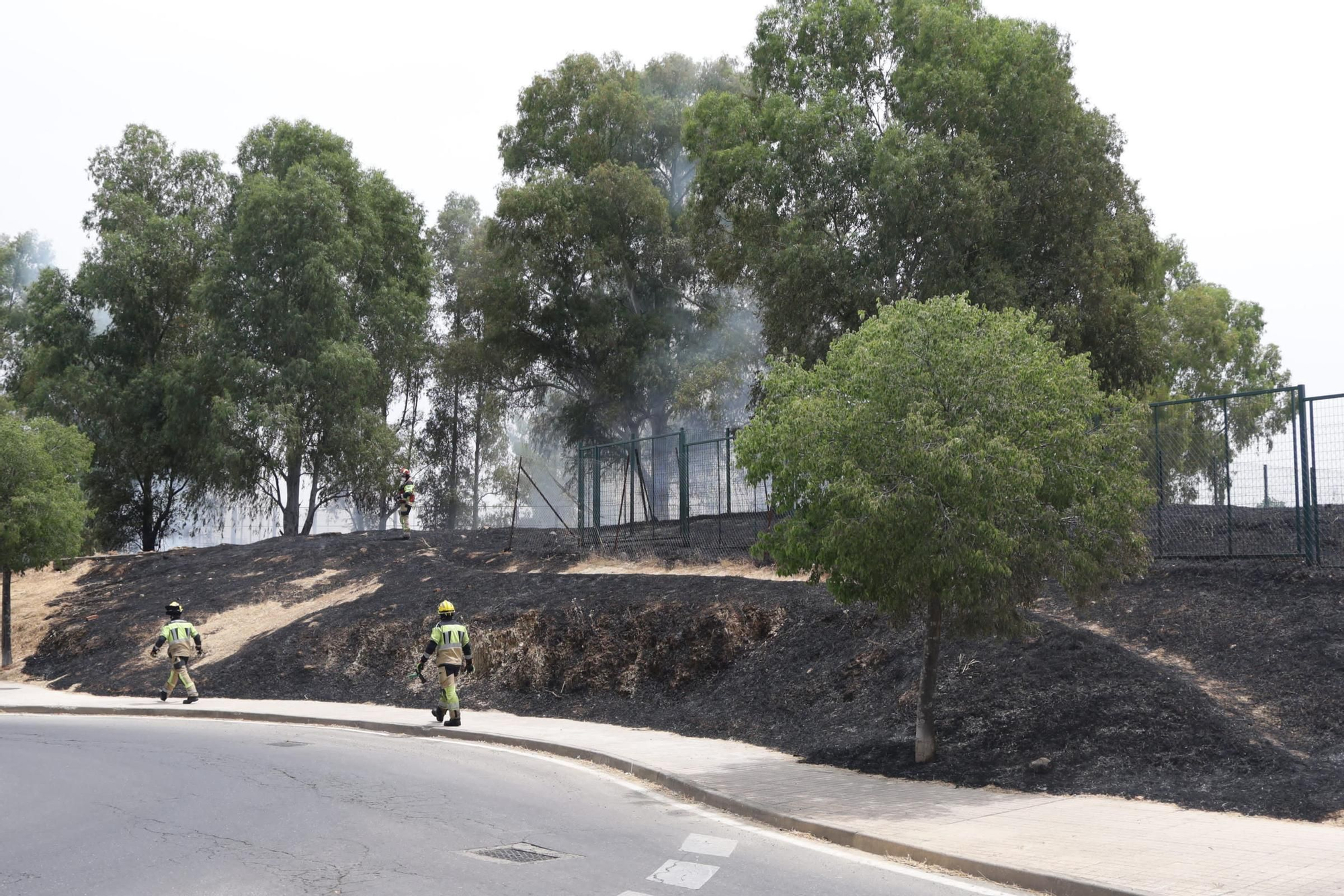 Incendio de pastos en unas pistas de fútbol de La Mejostilla
