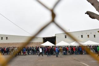 Más de 600 migrantes son detenidos en la frontera de Nuevo México