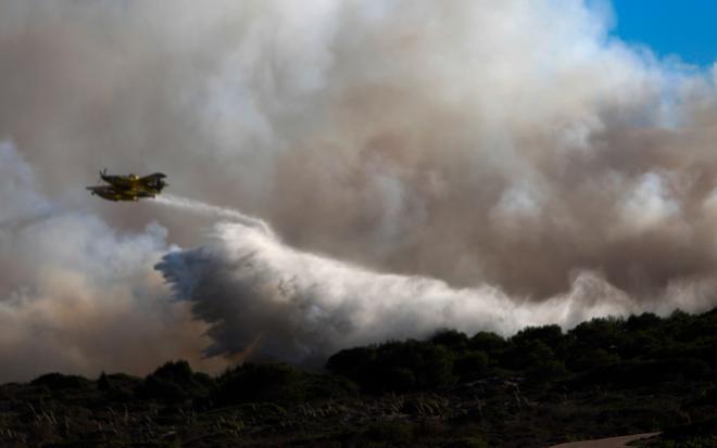 L’incendi forestal del Saler, en imatges