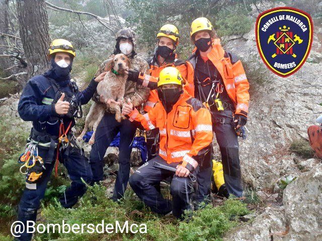 Los bomberos rescatan a un perro caído en una sima en Escorca