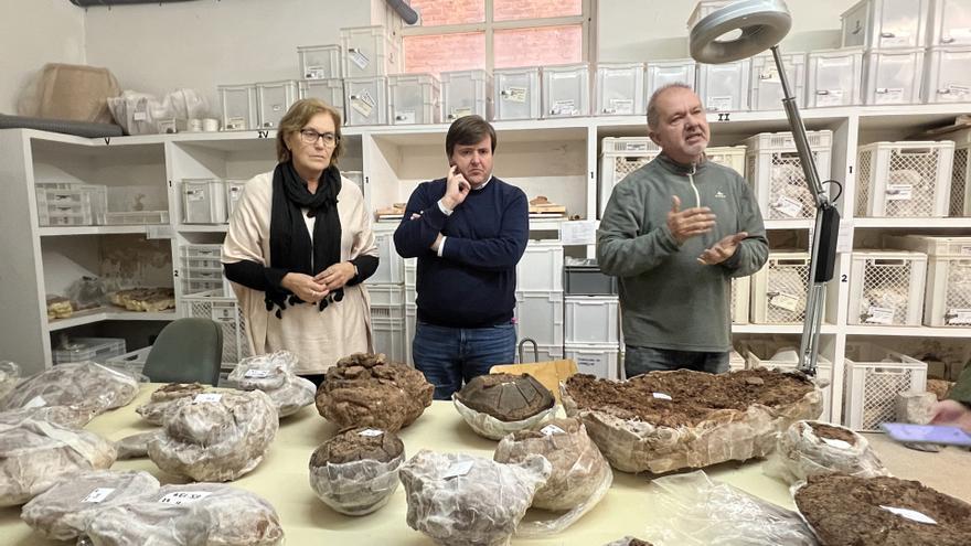 Descubren una necrópolis prehistórica y un yacimiento inédito con restos íberos y romanos en Burriana