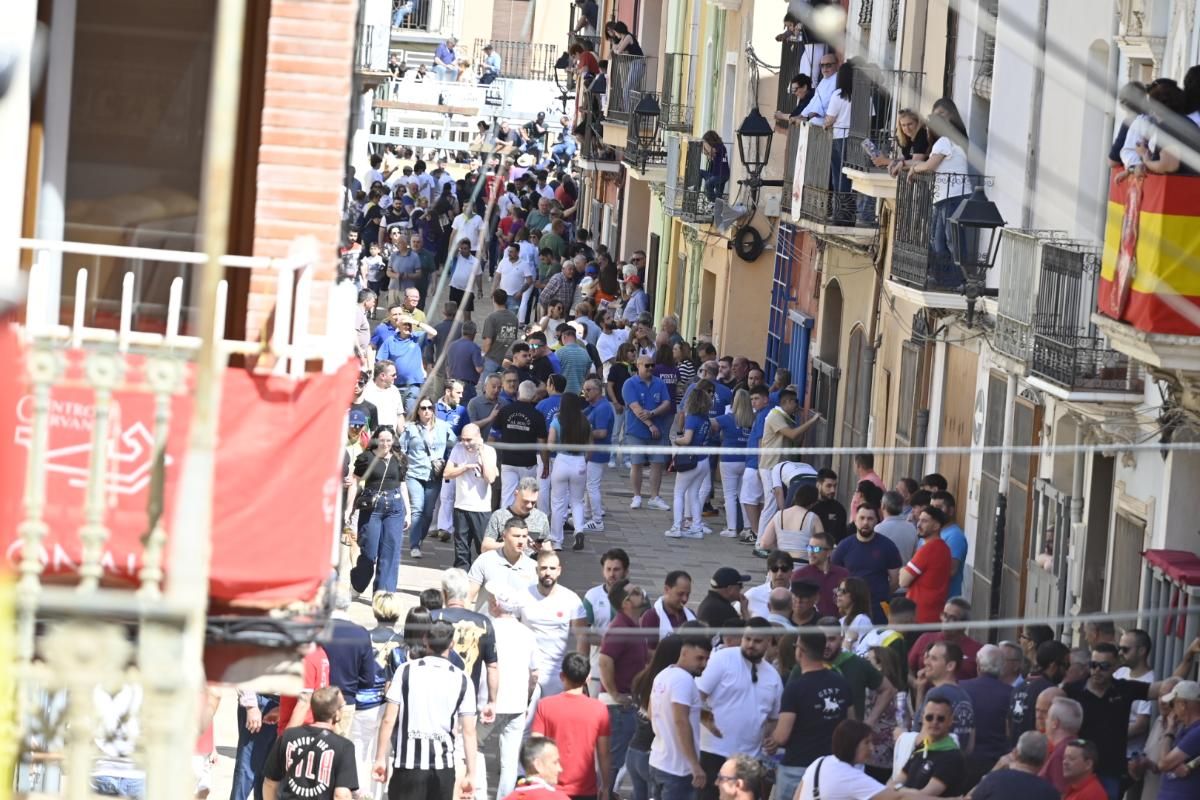 Galería | Almassora vibra con el encierro de cerriles de Gerardo Ortega
