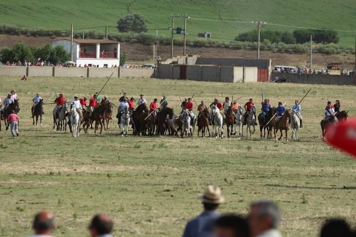 Suelta de vaquillas en las fiestas de La Visitación en Fuentesaúco