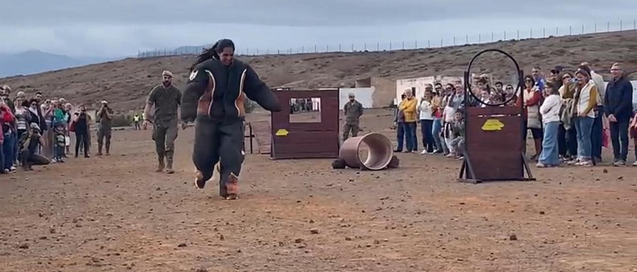 Jornada de Puertas Abiertas Brigada "Canarias" XVI