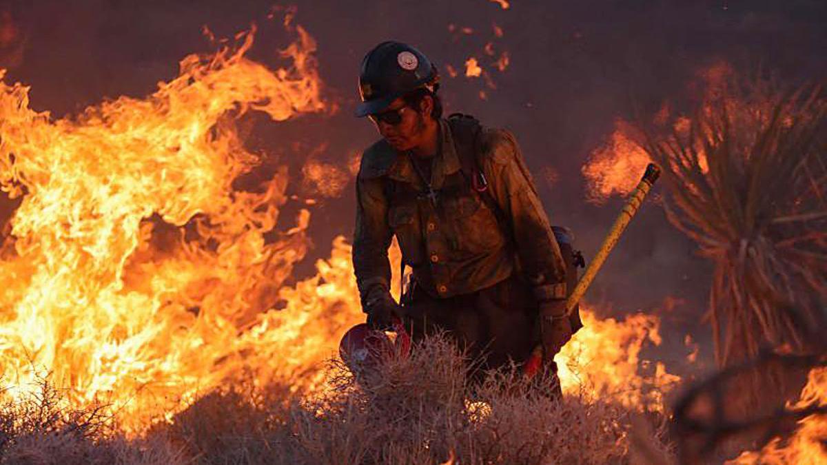 Arde la Reserva Nacional de Mojave entre California a Nevada