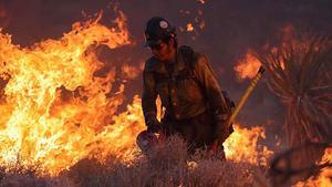 Arde la Reserva Nacional de Mojave entre California a Nevada