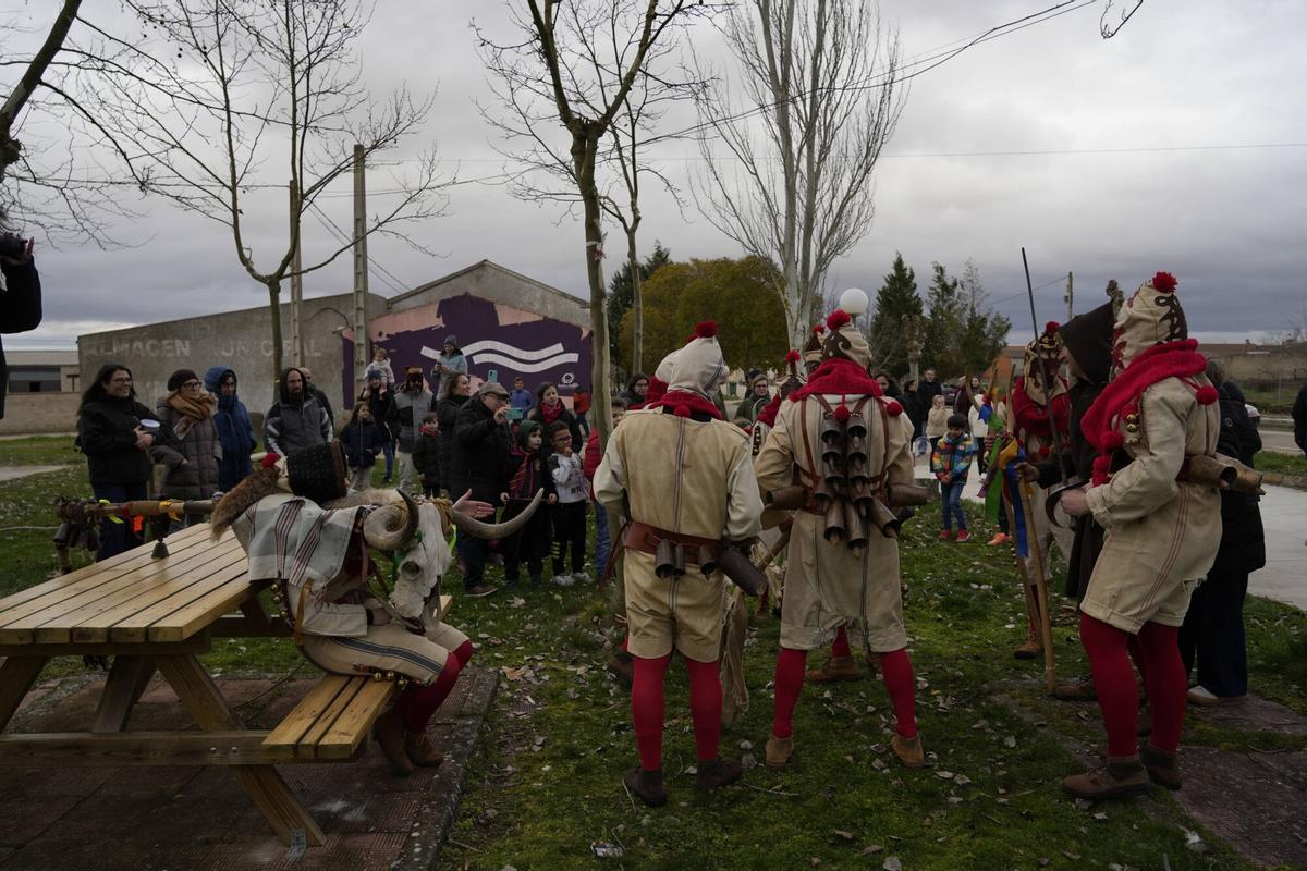 GALERÍA | La Vaquilla y los Cencerros reviven el antruejo más tradicional en Palacios del Pan