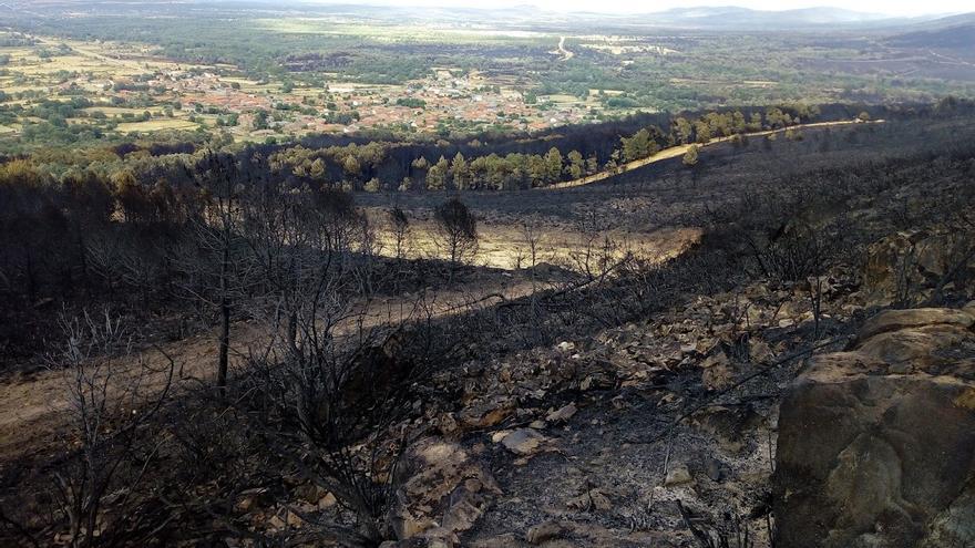 IU organiza una jornada en Zamora para debatir sobre gestión forestal