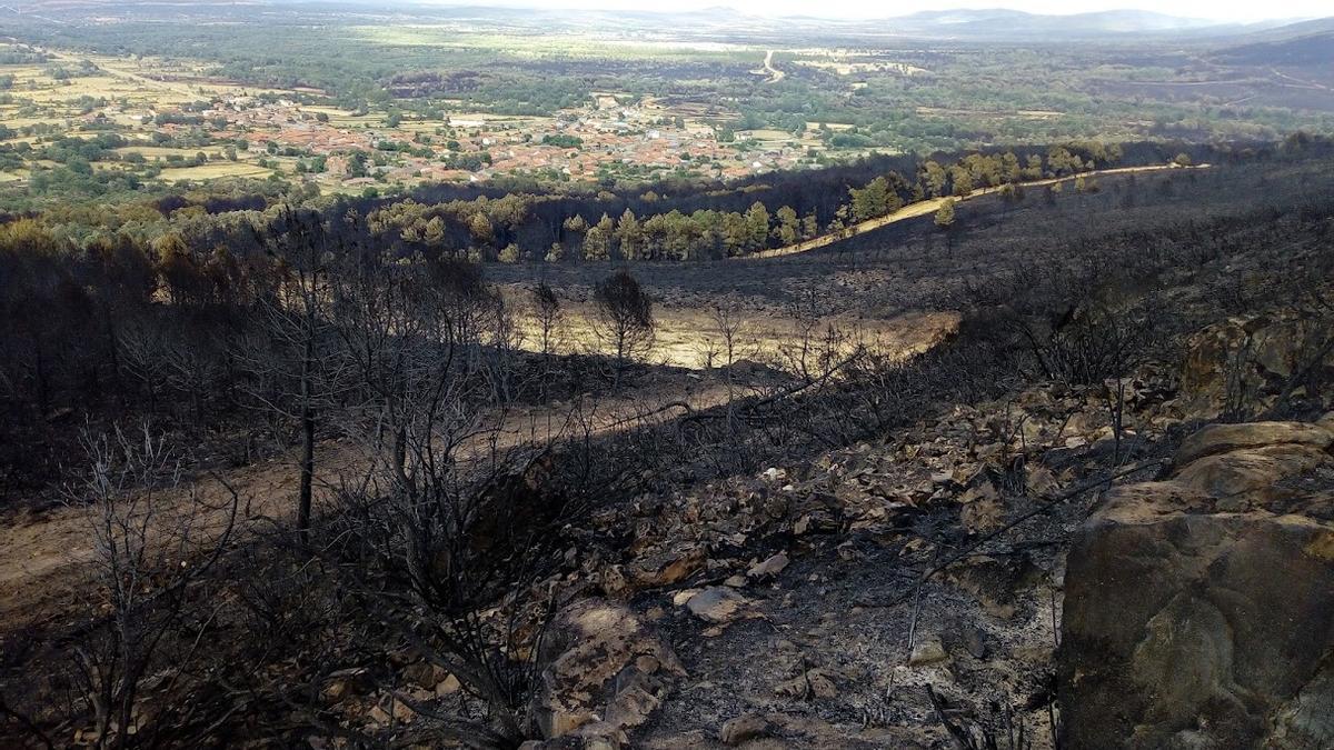 La Sierra de La Culebra, calcinada tras el incendio. | T. S. /B. P.