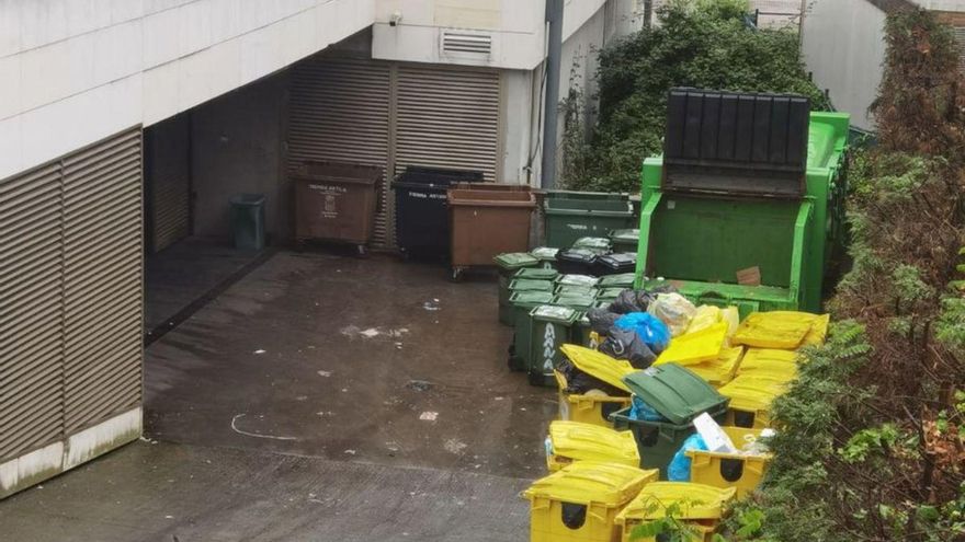 Denuncian una plaga de ratas en el edificio Panorama