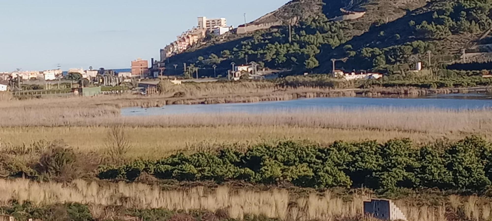 Evolución de la Bassa de Sant Llorenç de Cullera en los últimos años