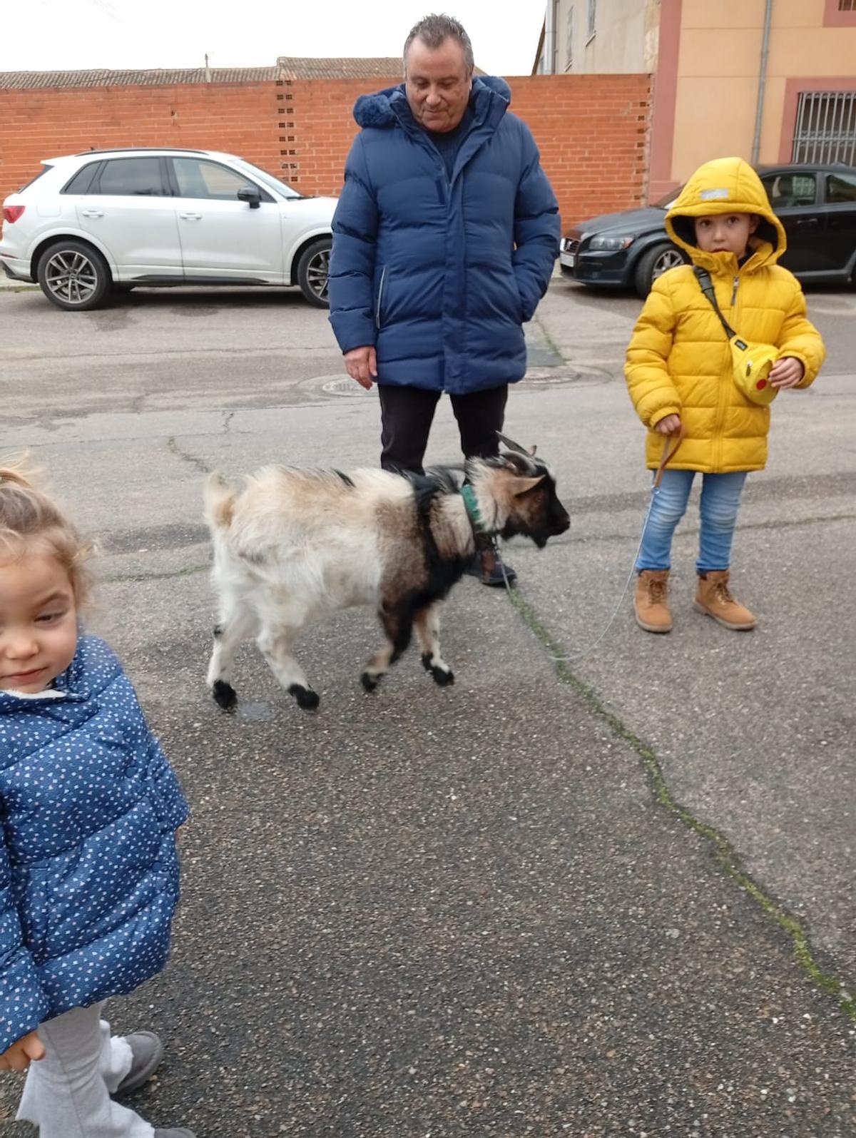 Procesión y bendición de animales en Moraleja del Vino