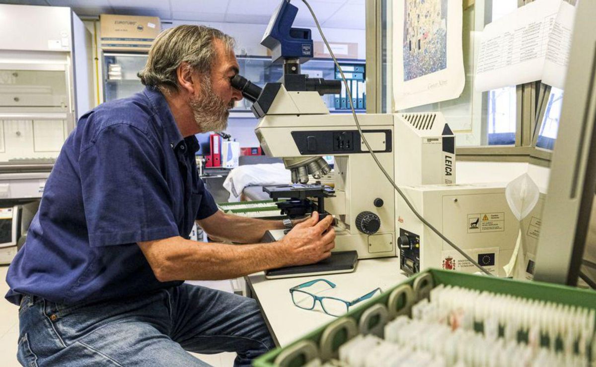La infecció per covid en l’embaràs augmenta els casos de retards cognitius La infecció per covid en l’embaràs augmenta els casos de retards cognitius