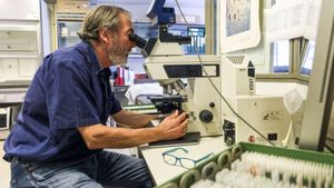 La infecció per covid en l’embaràs augmenta els casos de retards cognitius