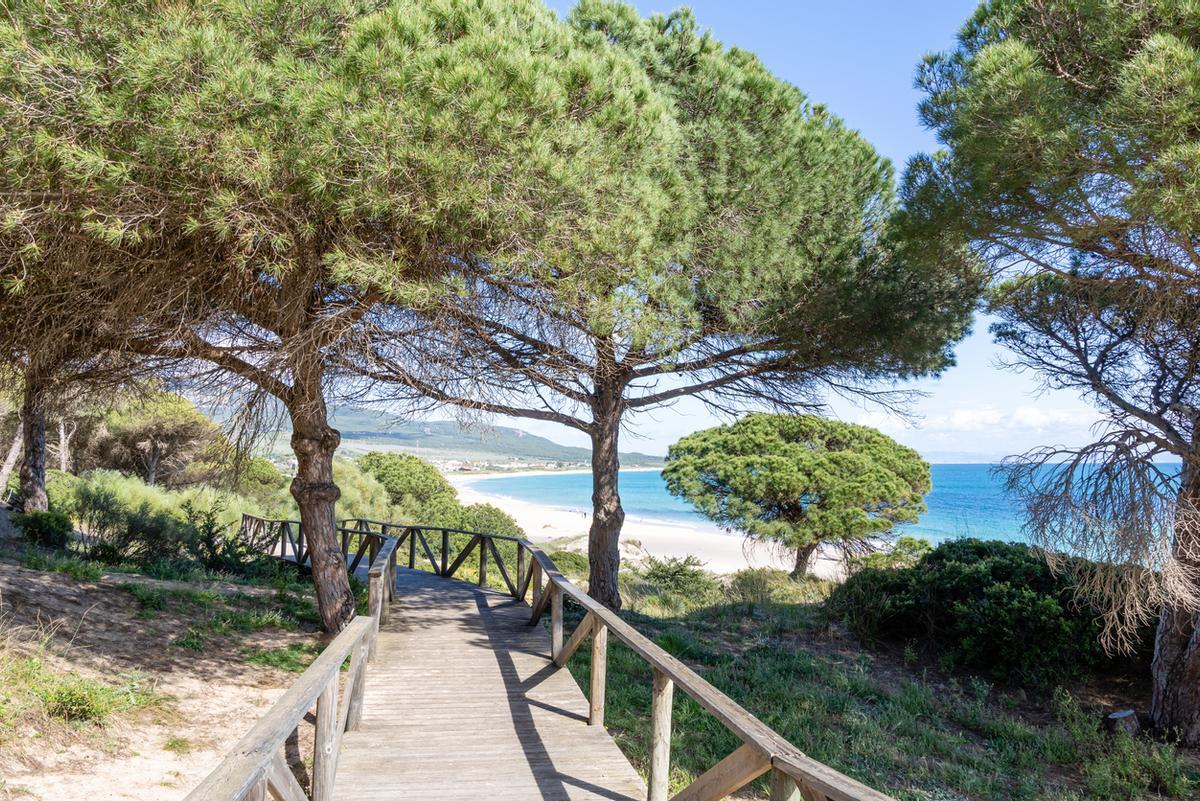 La gran duna de arena de la playa de Bolonia en Cádiz