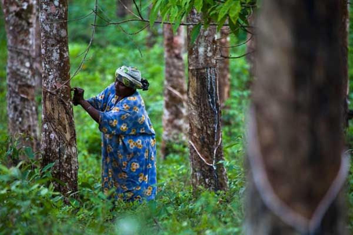 Mujer en el bosque de Jozani, en el centro de la isla.