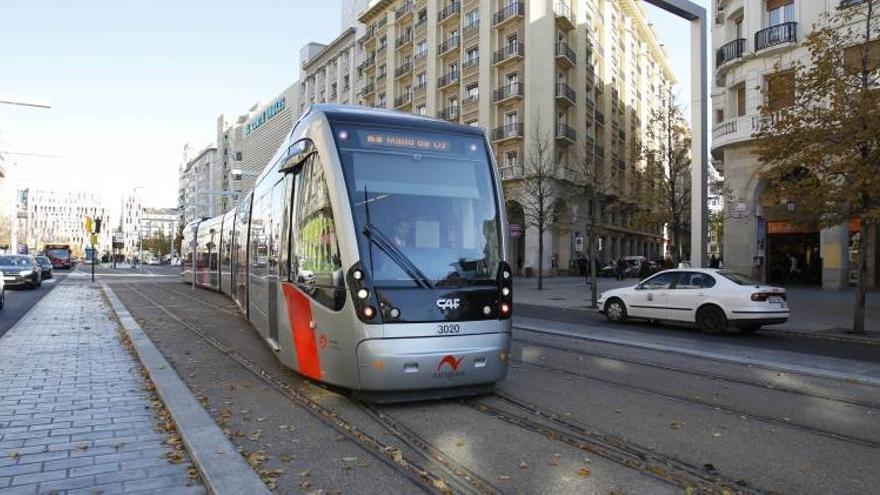 Los perros podrán subir al bus y al tranvía a partir del día 11