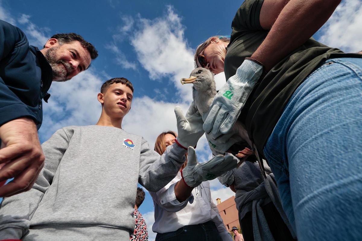 Alumnos del IES Adeje este lunes en la liberación de pardelas en la playa de La Enramada.