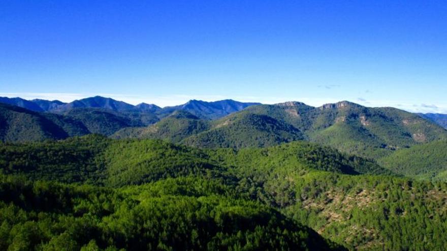 El Parque Natural de la Serra d&#039;Espadà centrará un seminario en Vall de Almonacid.