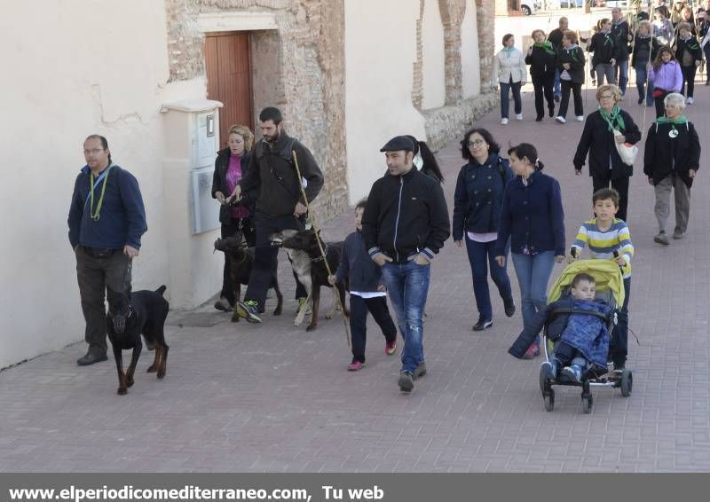 GALERÍA DE FOTOS - Romería Magdalena 2014 (2)