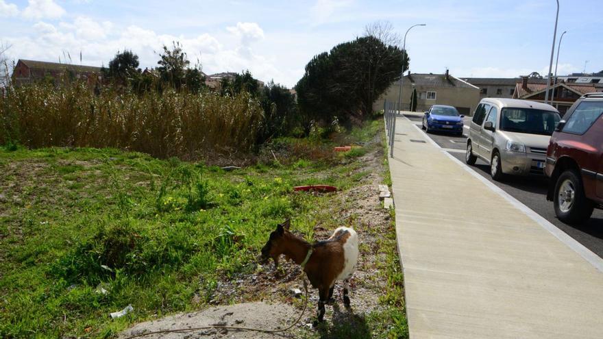 Un recurso retrasa el comienzo de las obras del nuevo centro de salud de Moaña