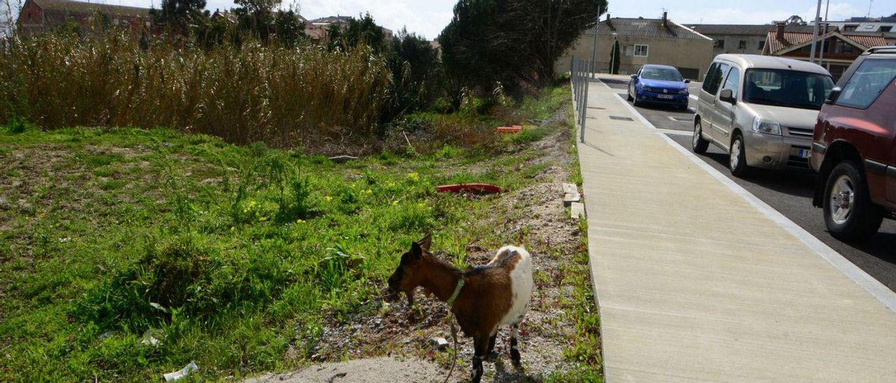 Los terrenos del futuro centro de salud, al lado de la nueva calle de acceso Elisa de la Peña. | G.N.