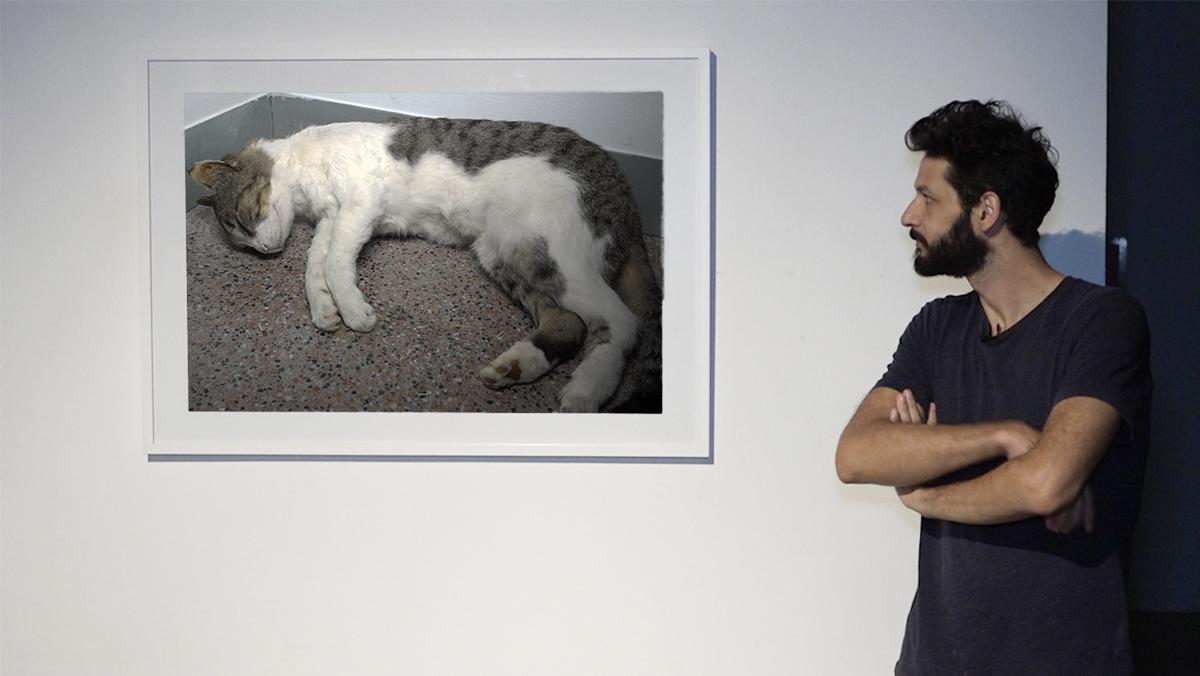  Un gat que crida Bon Jovi: L’artista Jonathan Millán converteix idees fugaces en petites escultures i vídeos.