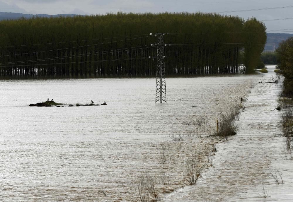 El río Ebro está a punto de desbordarse