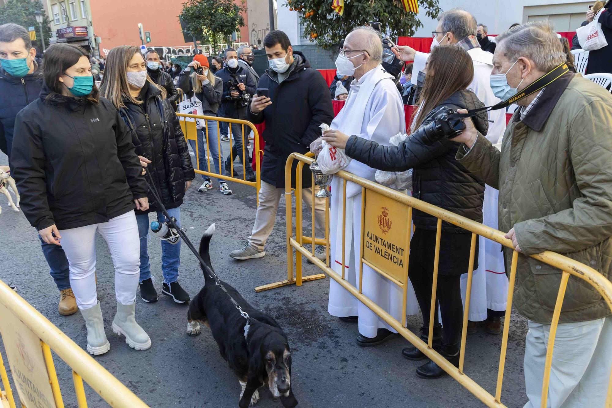 Búscate en la bendición de animales de Sant Antoni