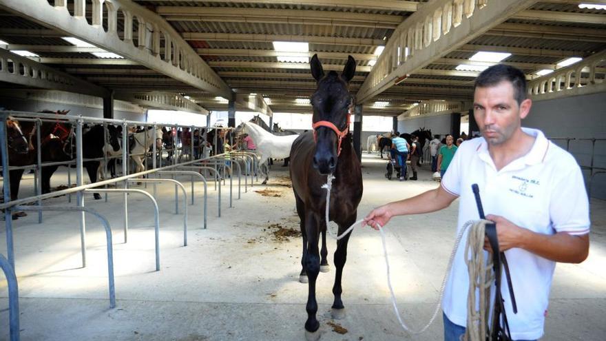 Los caballos volverán a adquirir protagonismo en Meis mañana