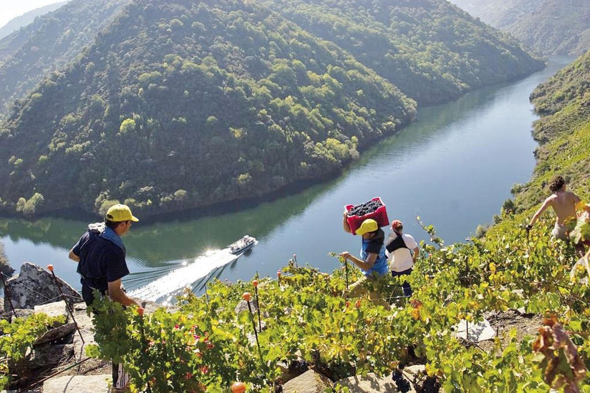 Del Douro al Rin: los paisajes del vino que ya son Patrimonio de la Unesco