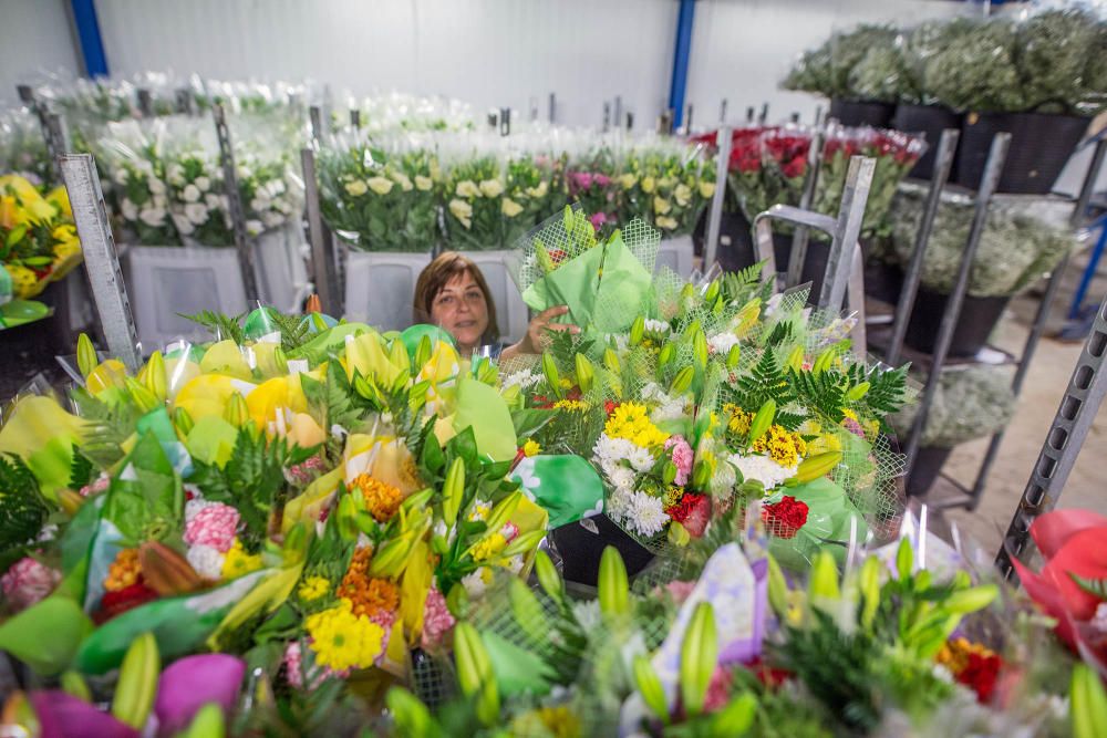 Un millón y medio de flores para el recuerdo