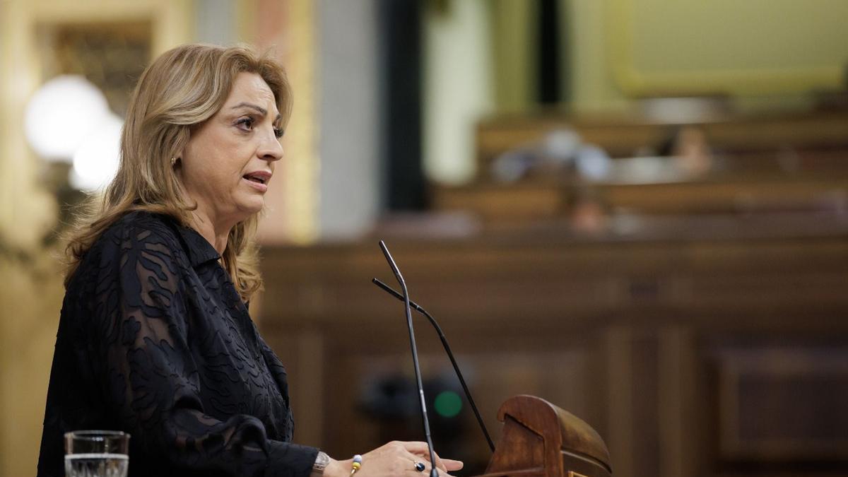 Cristina Valido, diputada de CC, interviene en la tribuna del Congreso.