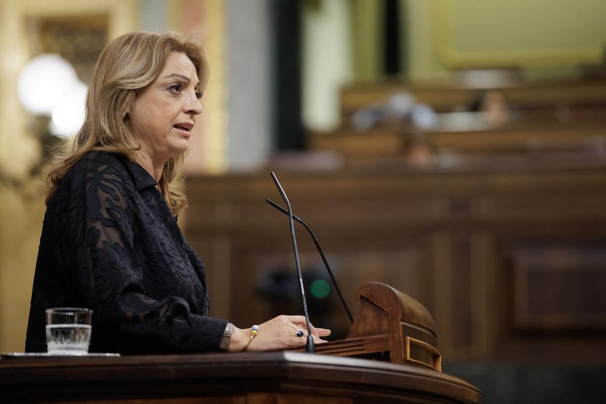 Cristina Valido, diputada de CC, interviene en la tribuna del Congreso.