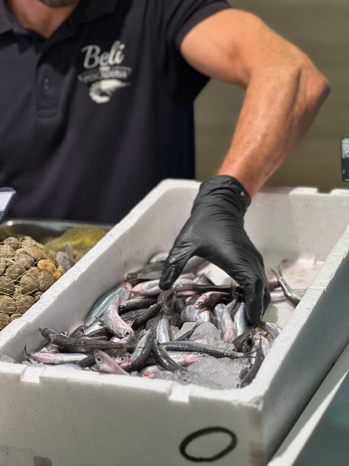 Boquerones de Beli Pescadería.