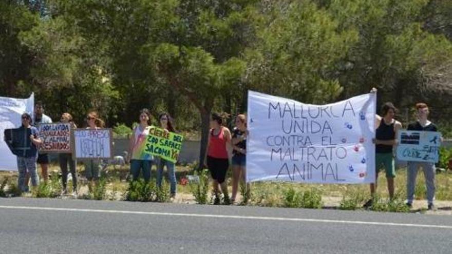 Plakate gegen Tiermisshandlungen: Demonstranten vor dem Safari-Zoo.