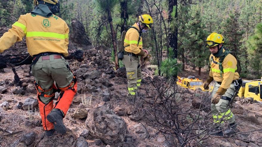 311 efectivos lucharán este verano en Tenerife contra los incendios forestales