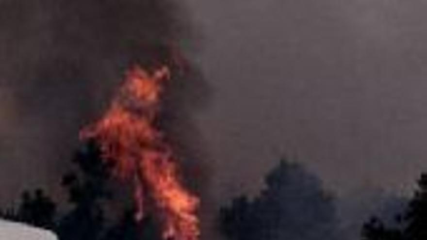 Un fuego asola 20 hectáreas de monte en Jaraíz de la Vera