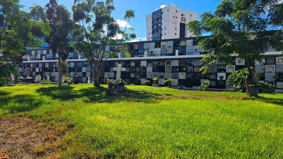 Fosa común del cementerio de Vegueta en Las Palmas de Gran Canaria.