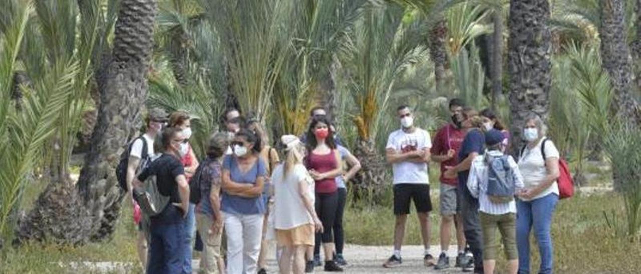 Una visita guiada a un huerto del Palmeral histórico de Elche, el año pasado. | MATÍAS SEGARRA