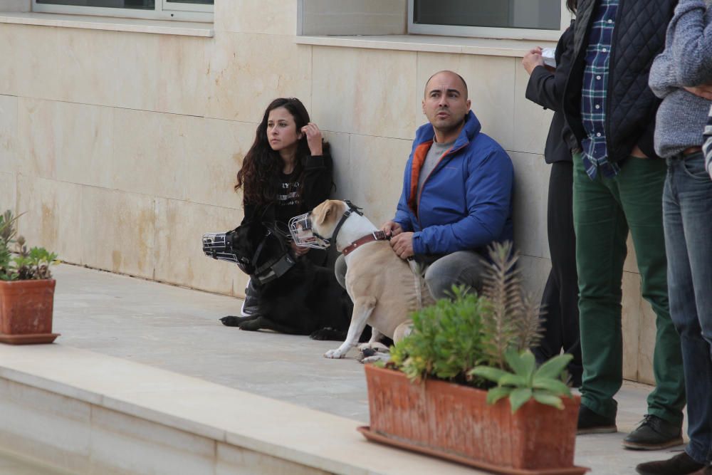 Exhibición canina en la Asamblea regional