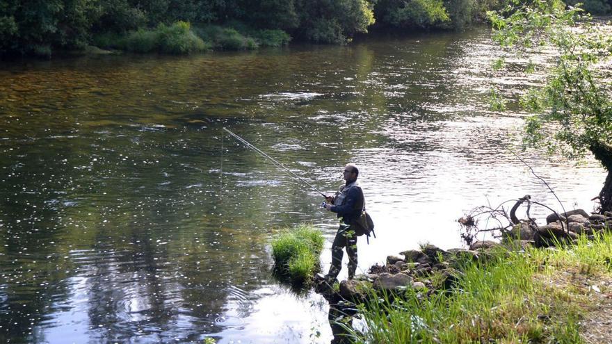 Vedado a la pesca de salmón el coto del Lérez en Monte Porreiro por cuarto año consecutivo