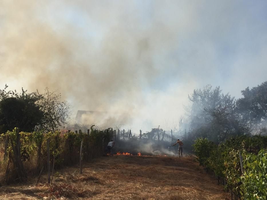 Incendio forestal en Monterrei