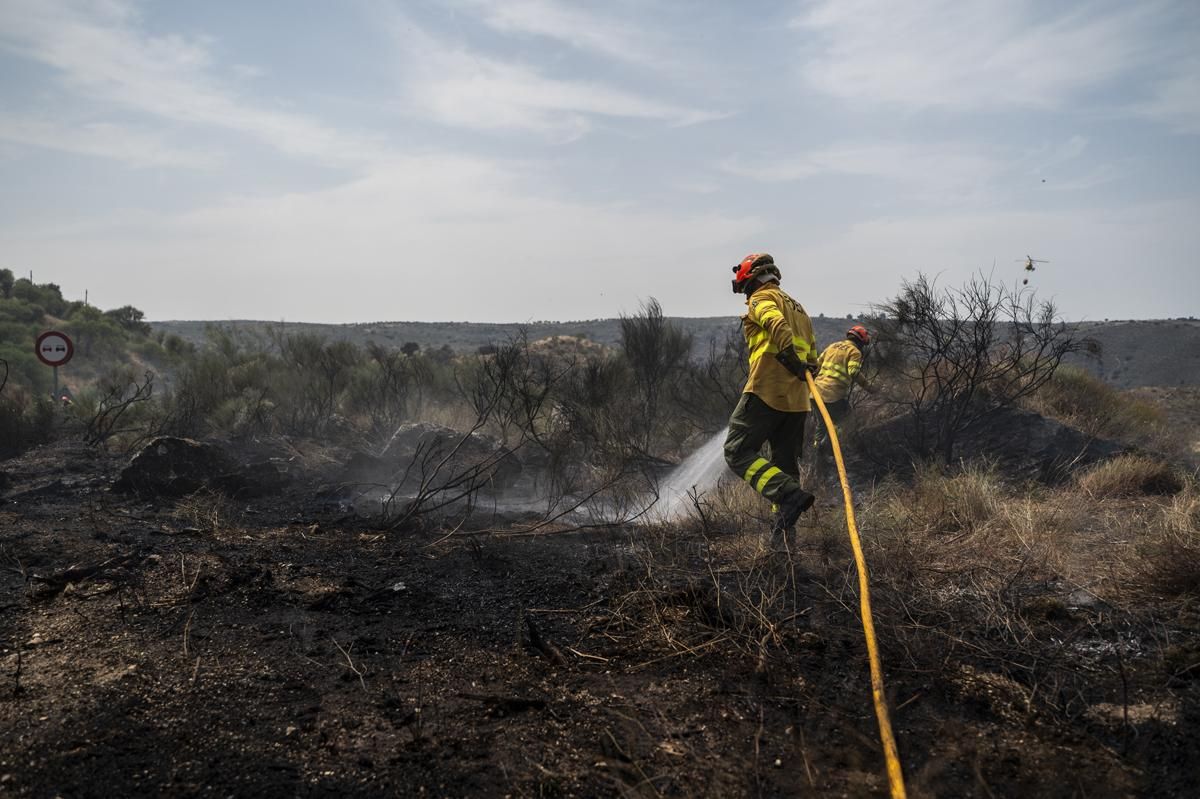 Fotogalería | Así ha sido el incendio forestal en Garrovillas de Alconetar