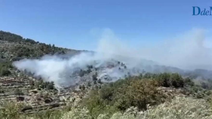 Un incendio arrasa ocho hectáreas de pinar en Deià