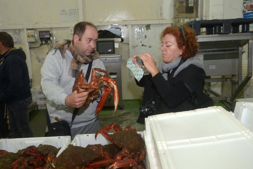 Comienza la campaña del centollo en Arousa