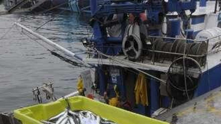 La flota gallega de cerco exige en A Coruña más cuota de anchoa al sur de Fisterra