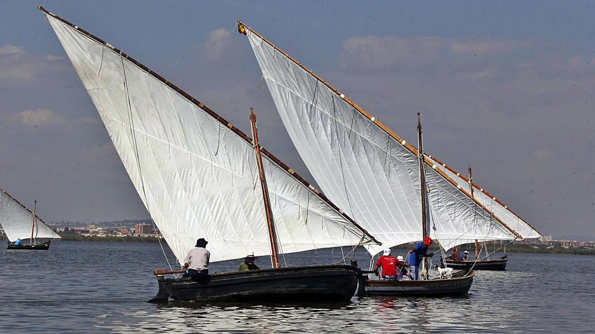 La vela latina en l’Albufera.  | VICENT M. PASTOR