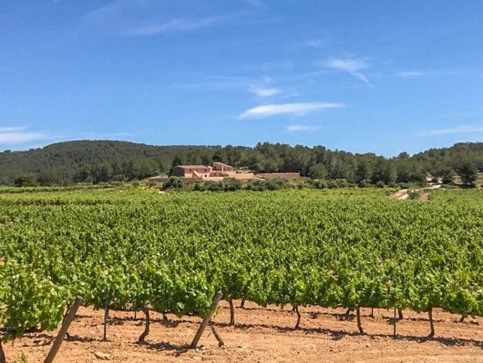 Venta de terrenos en Barcelona.