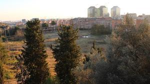 Los terrenos, hoy en desuso, del antiguo campo de prácticas de golf del CN Montjuïc que acogerán a la futura ciudad deportiva de la Fundació Damm.